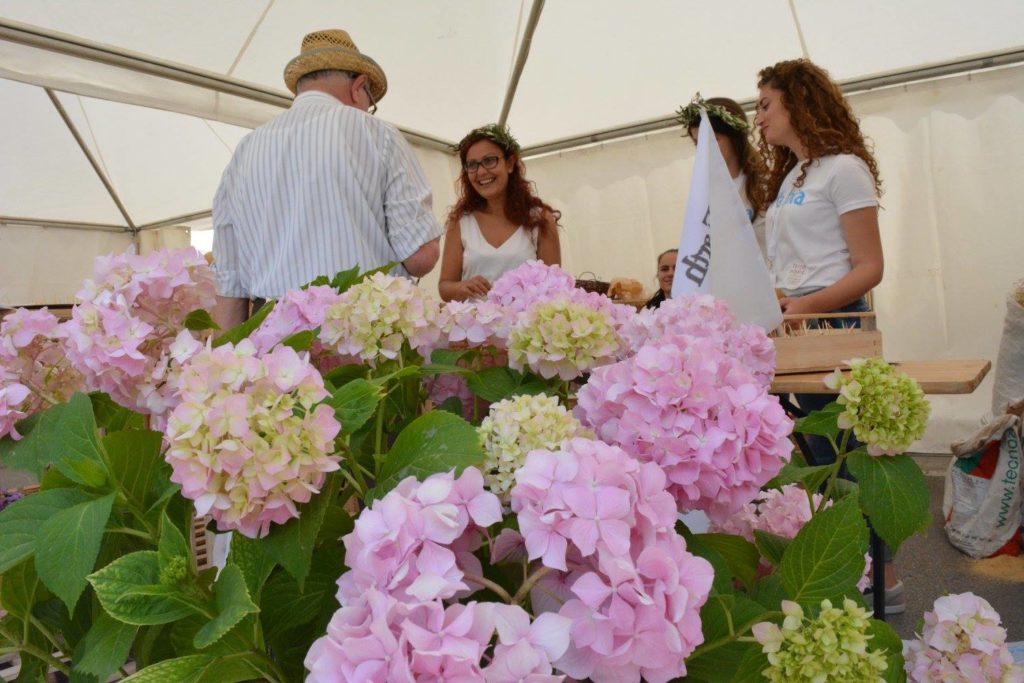 Ferma Amalthia - bio-organikja që na mungonte 15 13350414 1097809720282184 8927926271346546952 o