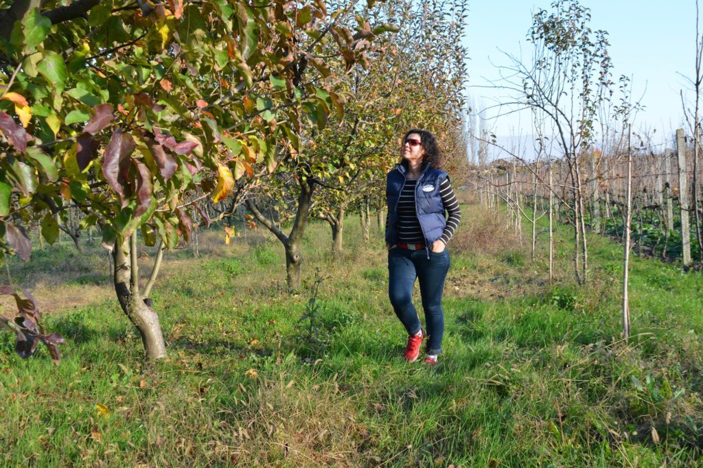 Uka Farm, agroturizmi që lindi nga shkenca 13 15250843 1249315085131646 7485725804668947802 o