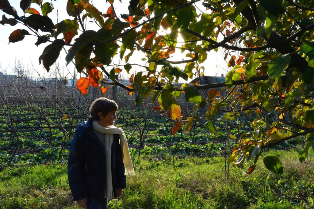Uka Farm, agroturizmi që lindi nga shkenca 15 15259303 1249306441799177 14580866545992128 o