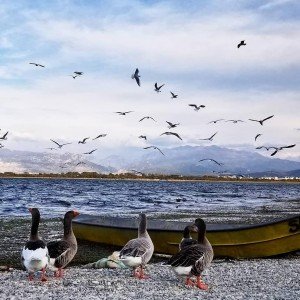 Shiroka, aty ku shkrihen historia, natyra dhe gastronomia