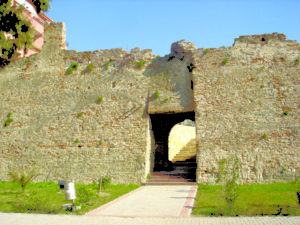 DSC00410
