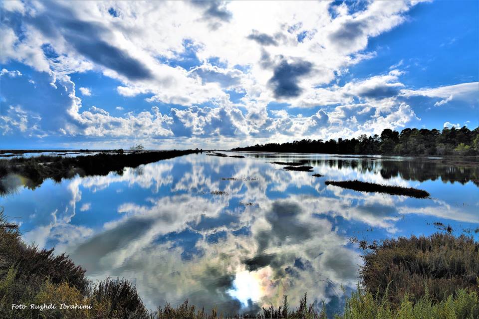 laguna e karavastase konica.al