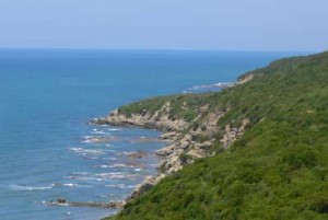 Plazhi i gjeneralit - Perla e bregdetit kavajas 