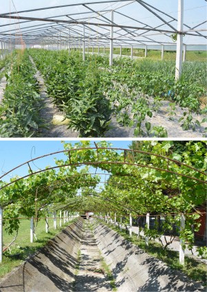Gardenland Resort, Barbullush - një xhevahir në zemër të natyrës...