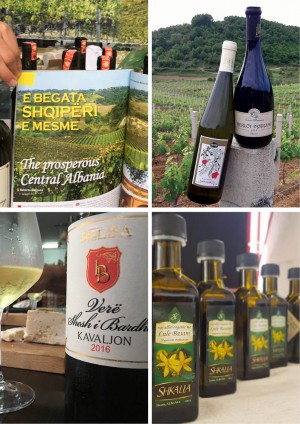 Projekti agroturistik 