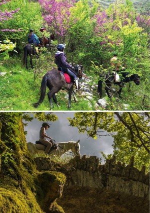 Urat e Zagories - Dhurata e Ali Pashë Tepelenës. Udhëtim përmes historisë dhe traditës