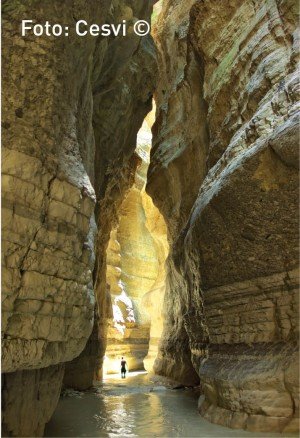 Bashkia P&euml;rmet dhe komuna &Ccedil;arshov&euml; duan nj&euml; Park Komb&euml;tar n&euml; vend t&euml; digave n&euml; Lumin Vjosa 