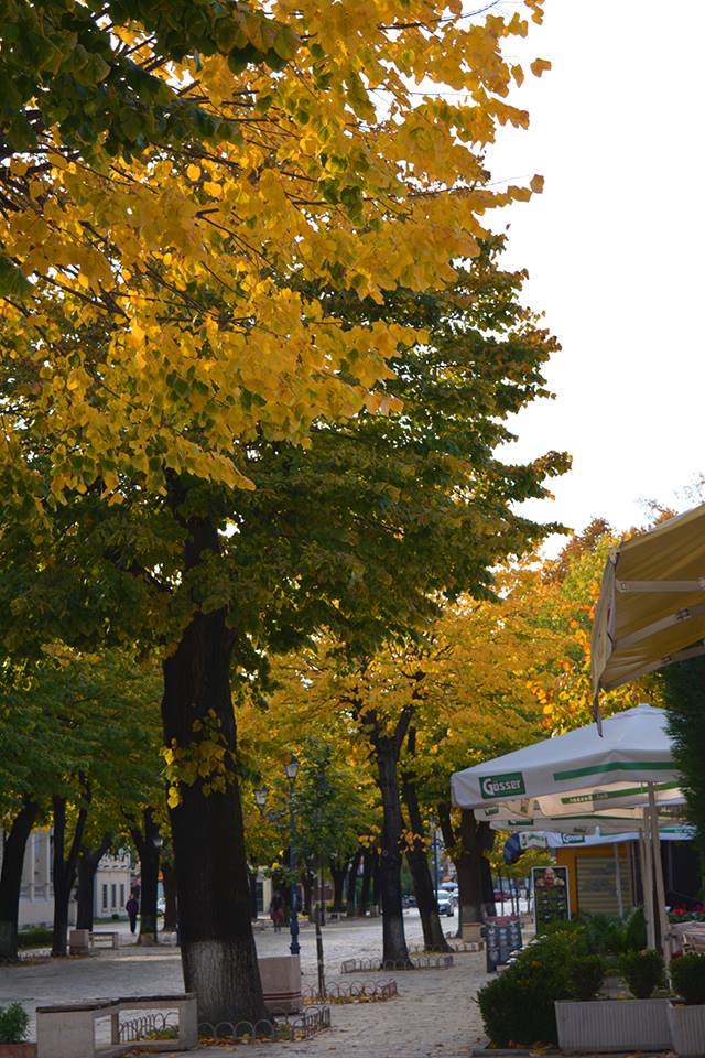 Shkodra nën petkun e Vjeshtës së Dytë.... 20 12109282 974061632656994 984724695948302081 n