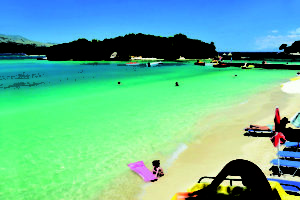 beachinksamil