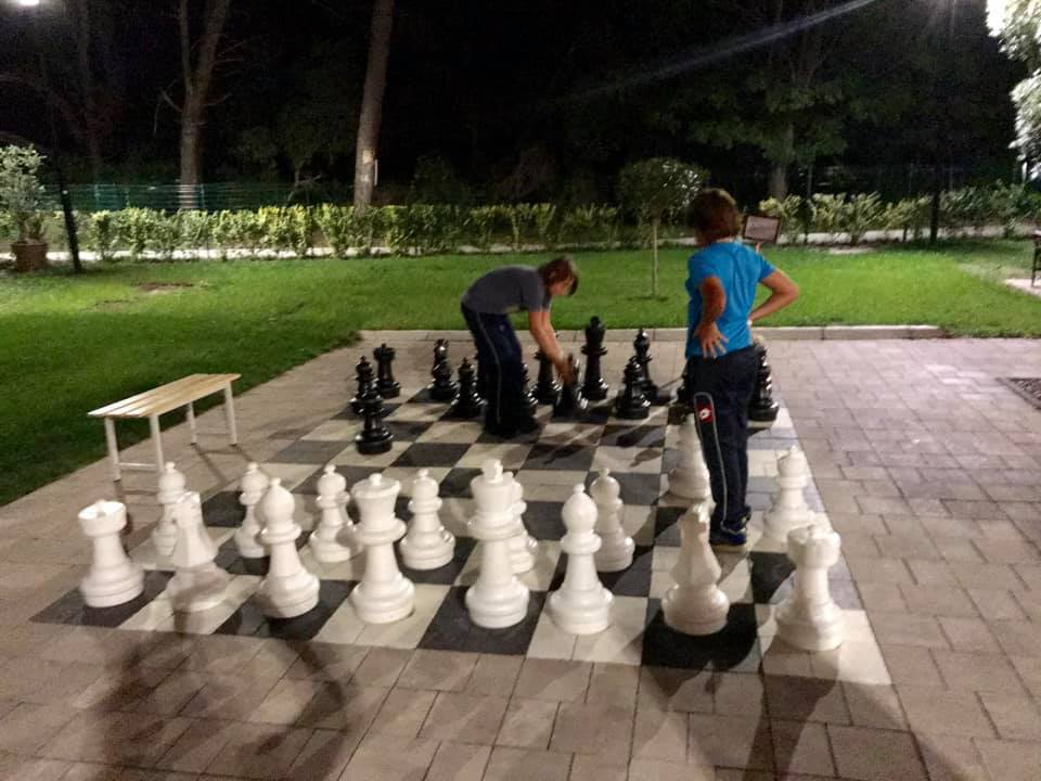 73061765 2569339069795901 5451101586468110336 n