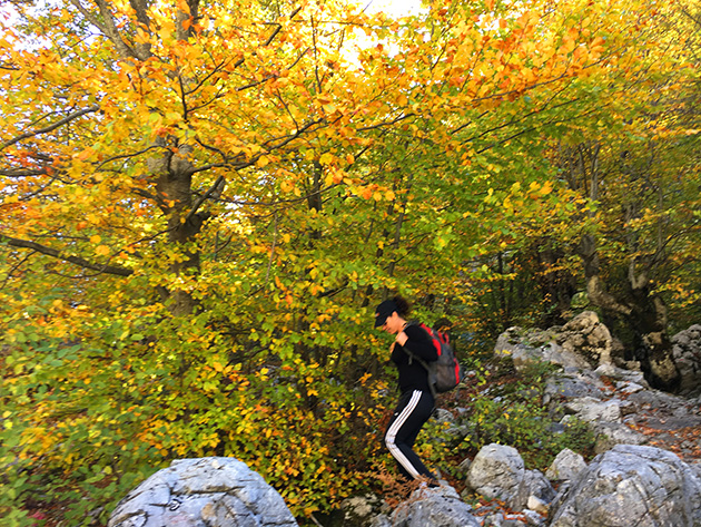 Valbona e bukur 14 IMG 3870