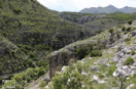 Ballexa Castle