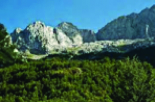 Krenazhdol