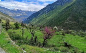 travel magazine experience gjirokastra 10