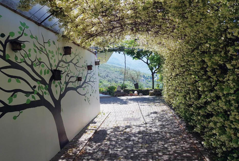 travel magazine ionia house vila rreli 5