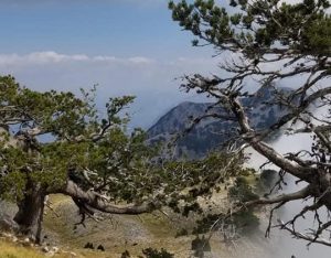 VLORE MAJA E QORRES FOTO HIKING 4 EVER 540x422 1