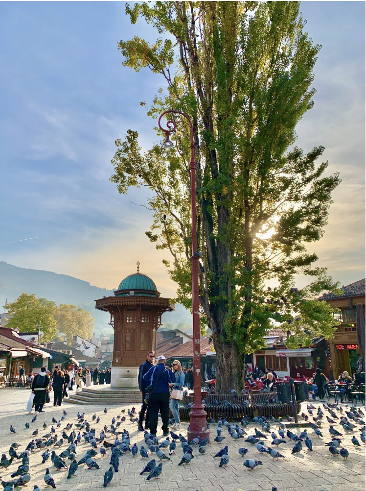 Bosnia and Herzegovina1