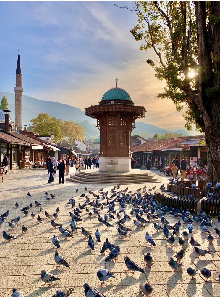 Bosnia and Herzegovina5