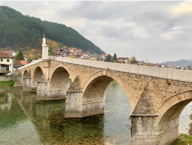 Bosnia and Herzegovina6