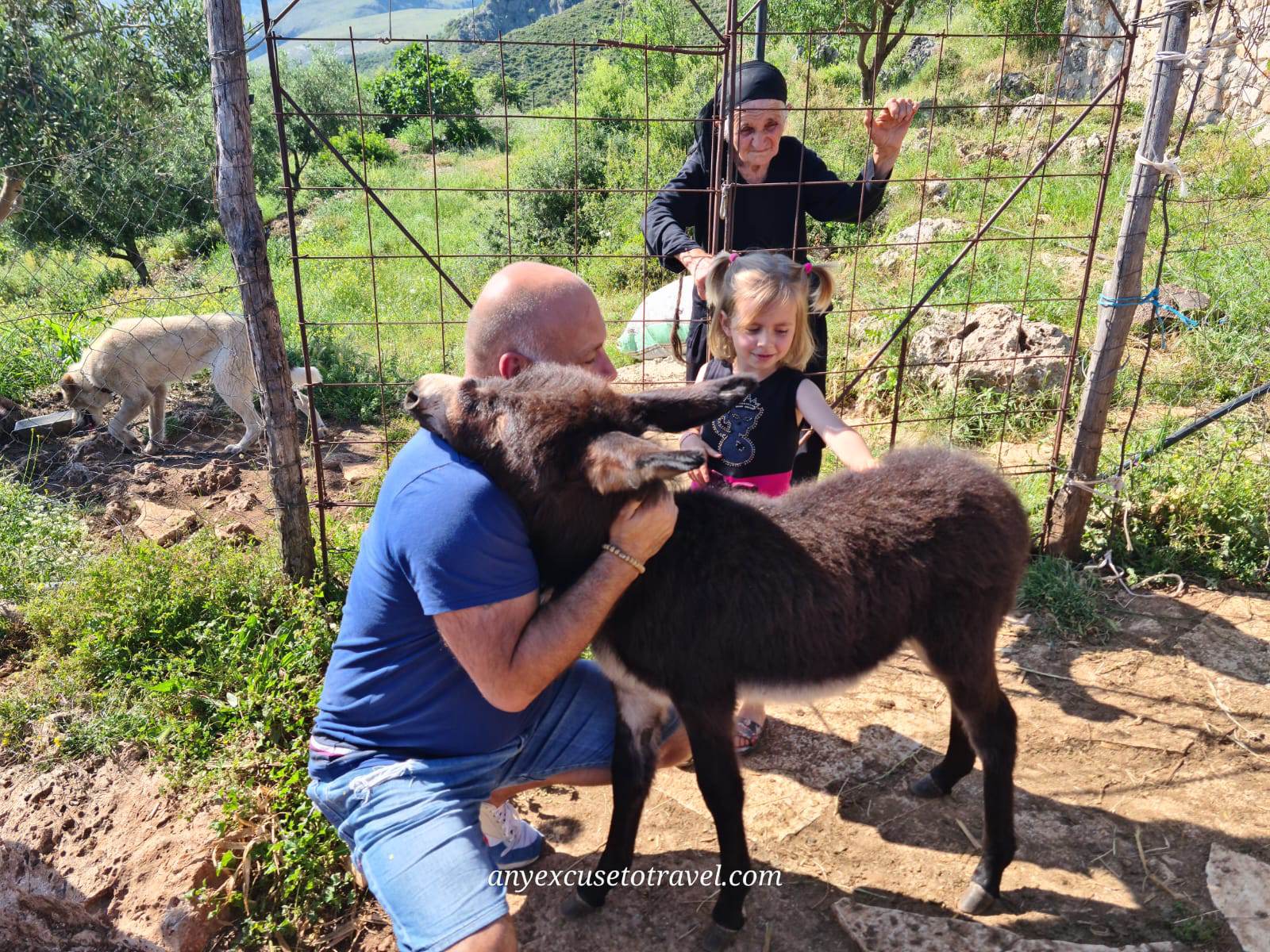 donkeyfarm2