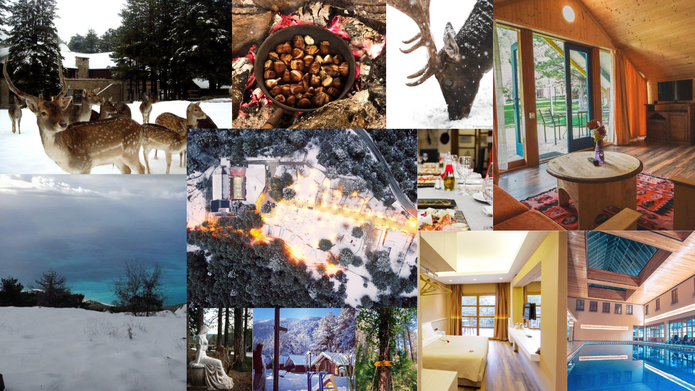 travel magazine The Deer